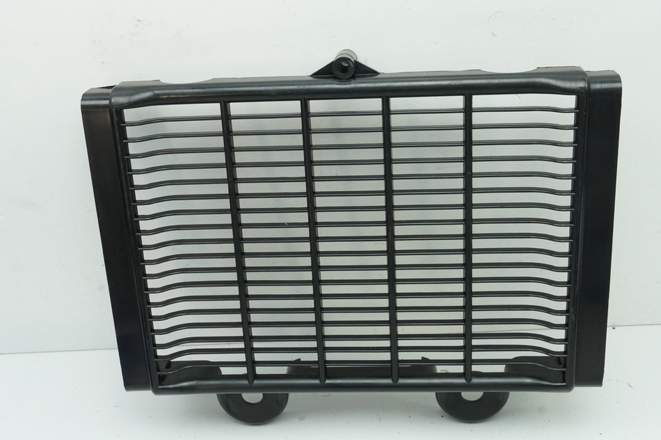 TRIUMPH Thunderbird Sport 900 T309RT - Verkleidung Kühler Abdeckung Cover Blende