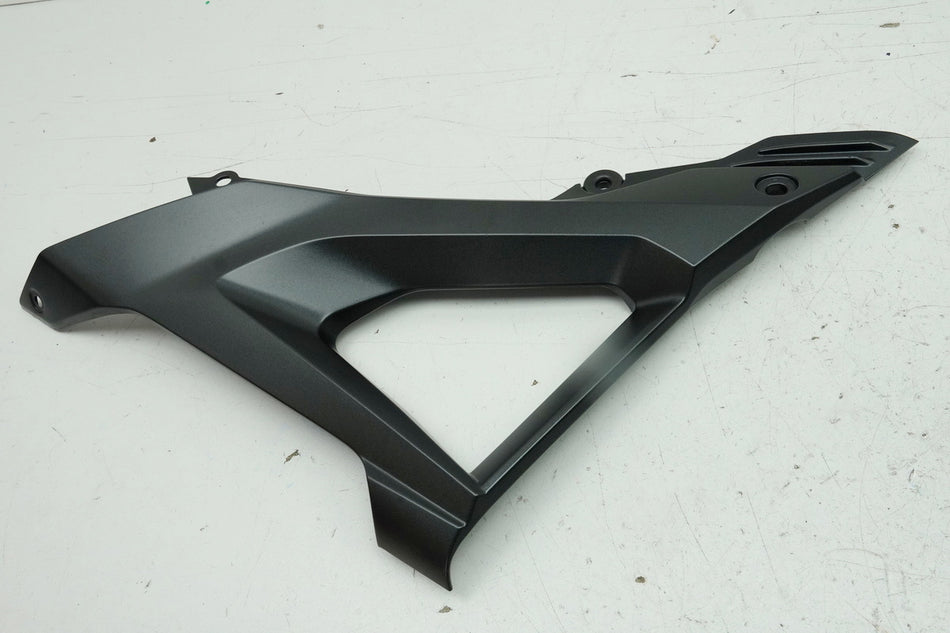 HONDA CB 125 R JC91 Seitendeckel rechts Abdeckung Cover Blende Verkleidung