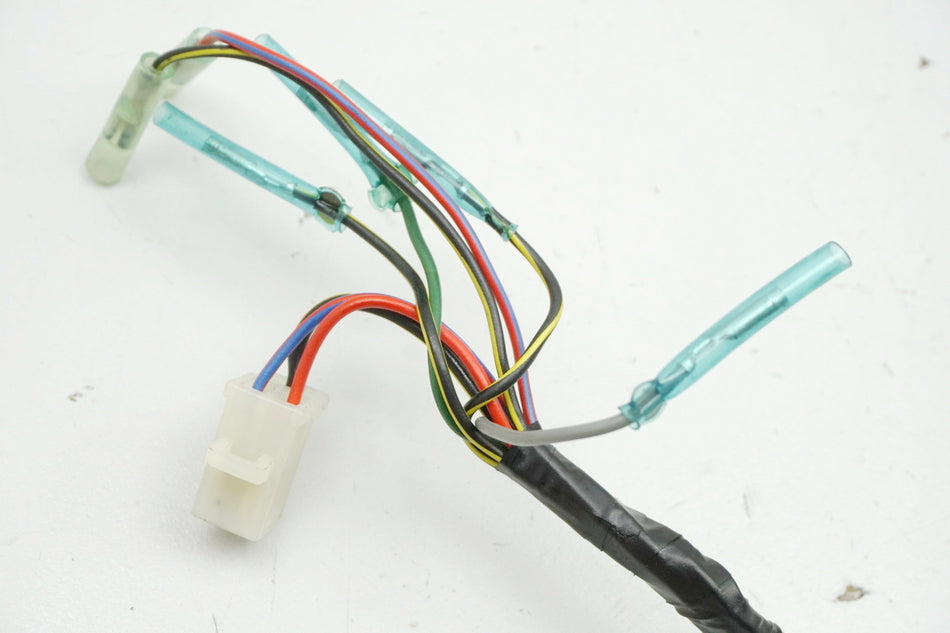 KAWASAKI EL 250 B ELIMINATOR Mazo de cables principal