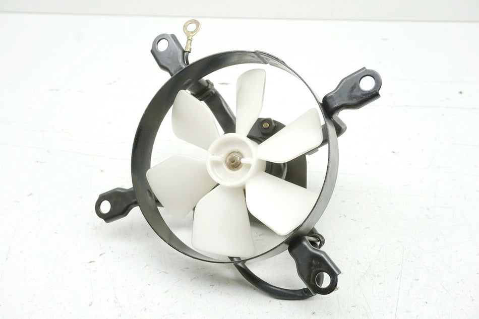 KAWASAKI EL 250 B ELIMINATOR Lüfter Kühler Lüfterrad Motor Kühlerlüfter