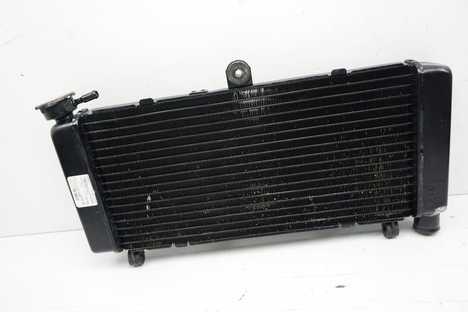 Honda CB 600 PC34 PC36 Hornet Radiador de agua