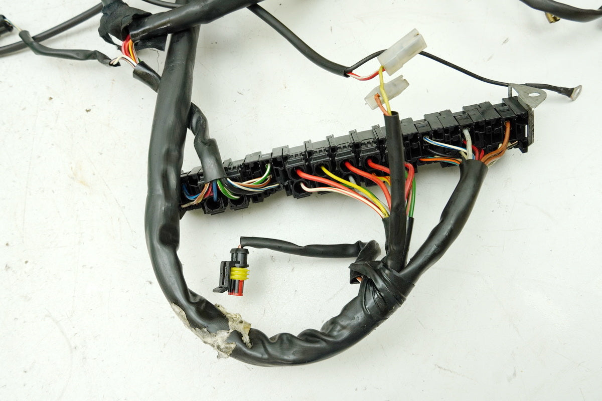MOTO GUZZI California 1100 EV KD Wiring Harness Main Wiring Harness Wire Harness for Engine