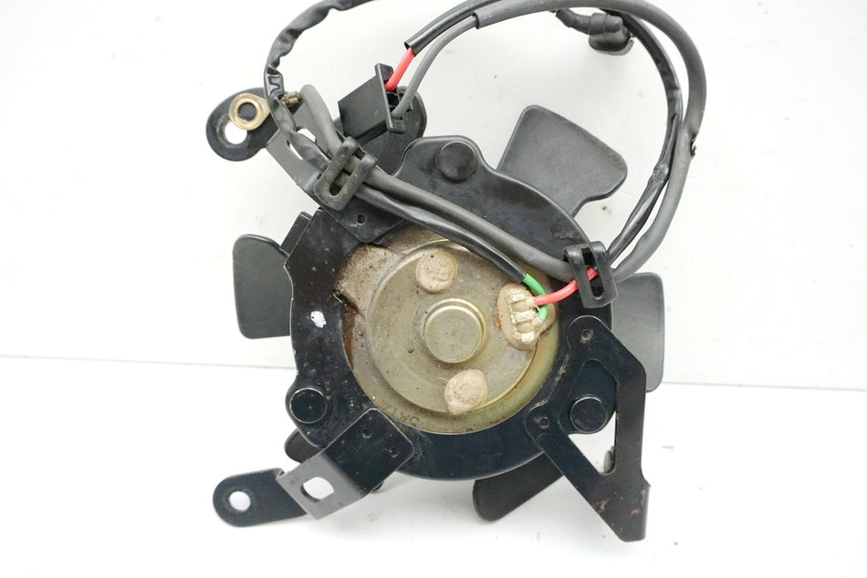 Honda CB 600 PC34 PC36 Hornet Ventilador Radiador Motor
