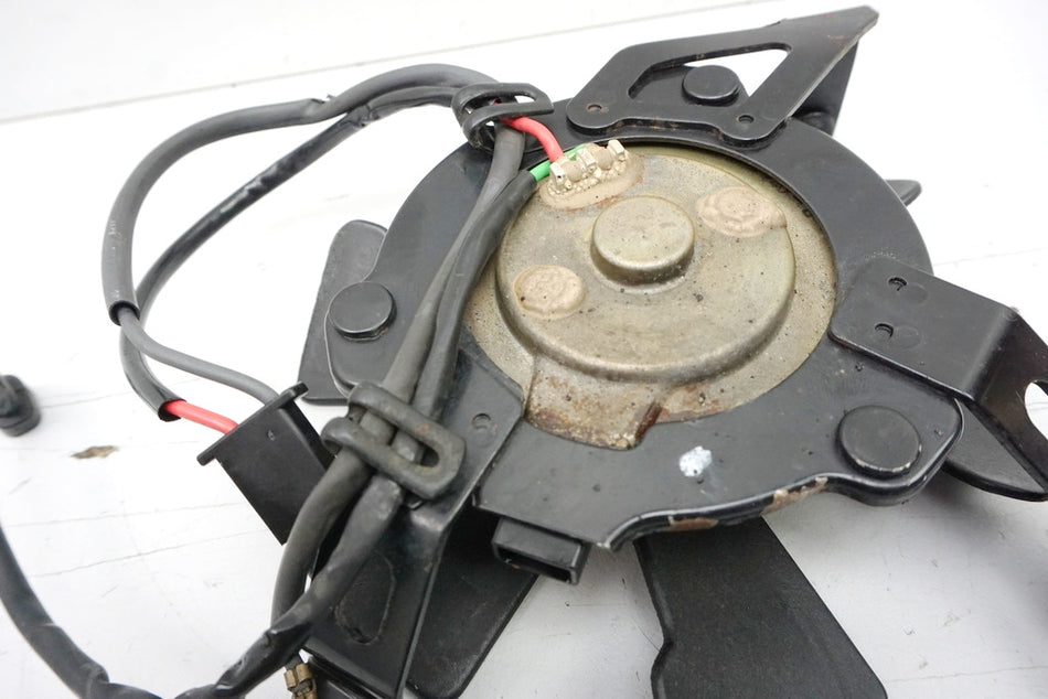 Honda CB 600 PC34 PC36 Hornet Ventilador Radiador Motor