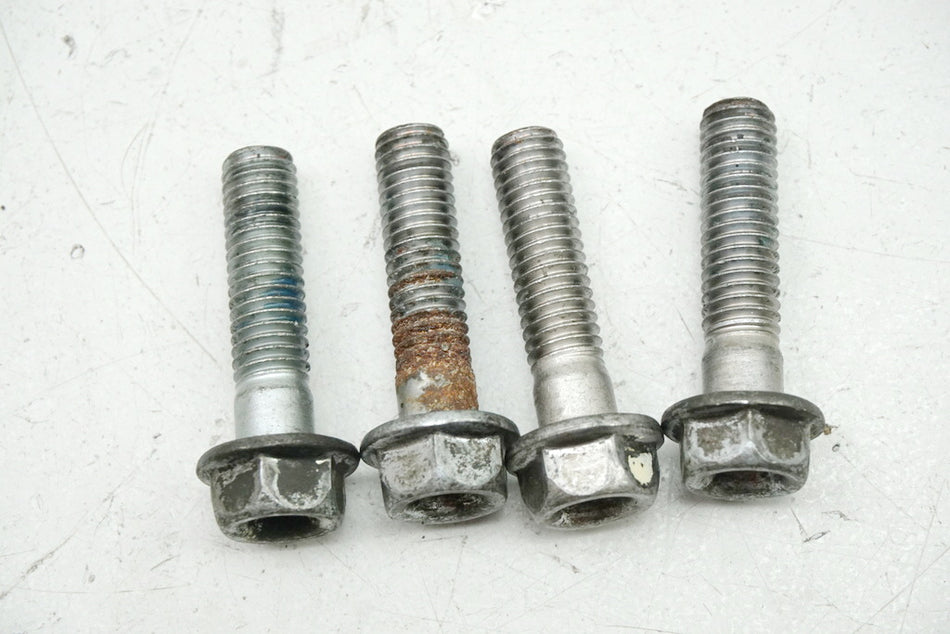 Honda CB 600 PC34 PC36 Hornet Tornillos de pinza de freno delantera Conjunto