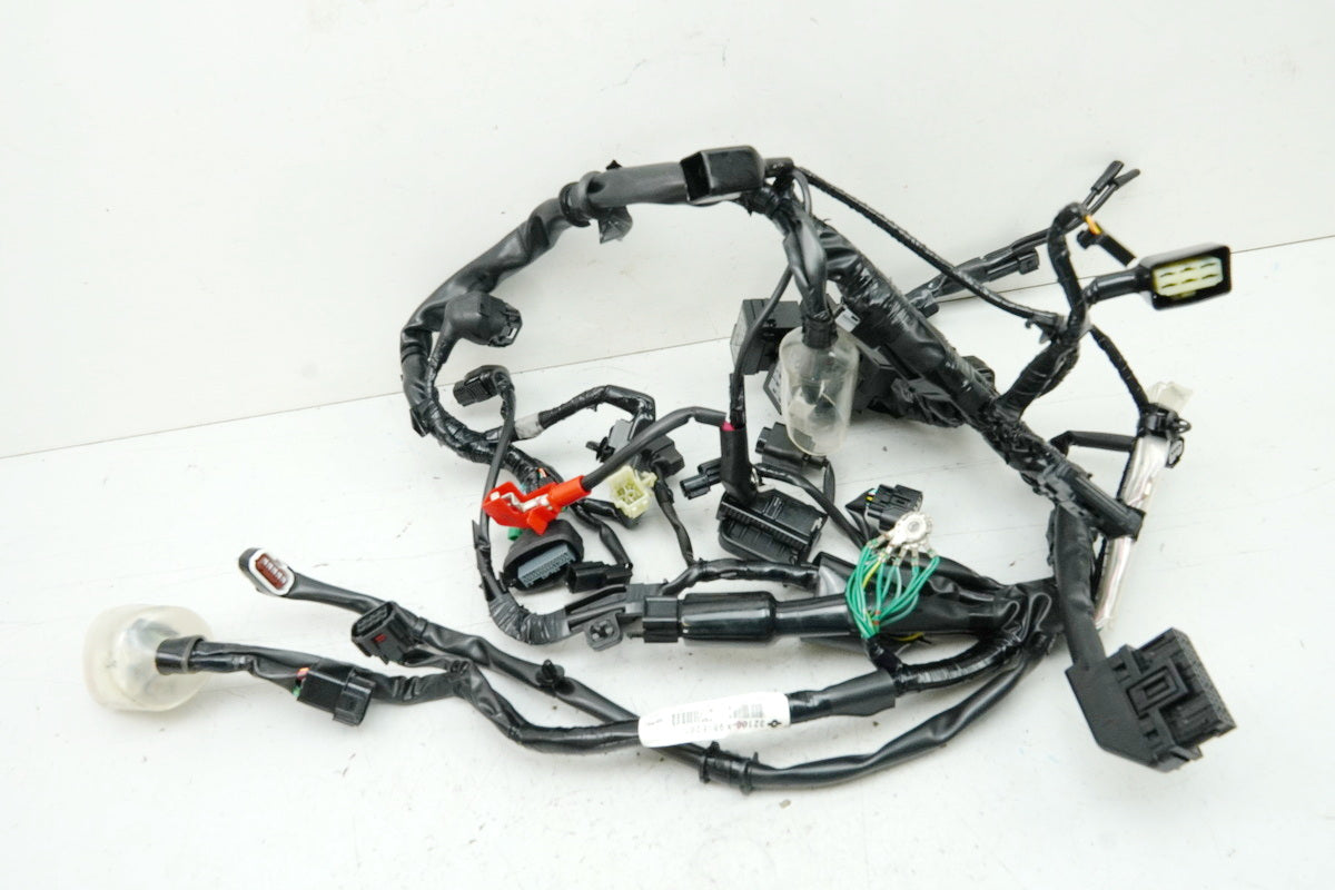 HONDA CB 125 R JC91 Wiring Harness Main Wiring Harness Wire Loom 32100-K98-E201