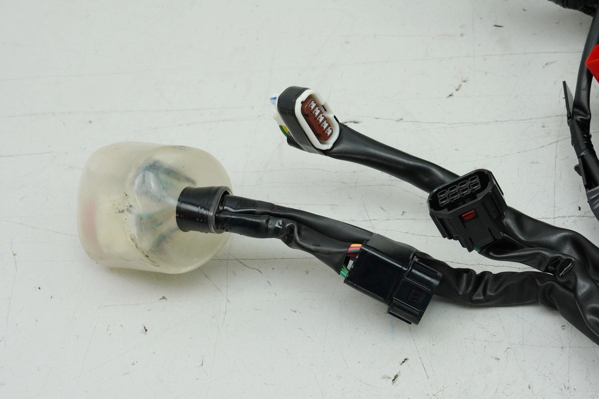 HONDA CB 125 R JC91 Wiring Harness Main Wiring Harness Wire Loom 32100-K98-E201