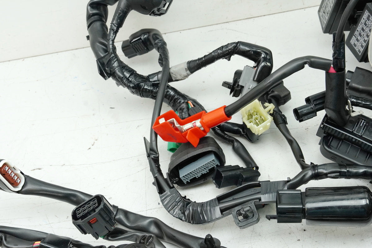 HONDA CB 125 R JC91 Wiring Harness Main Wiring Harness Wire Loom 32100-K98-E201