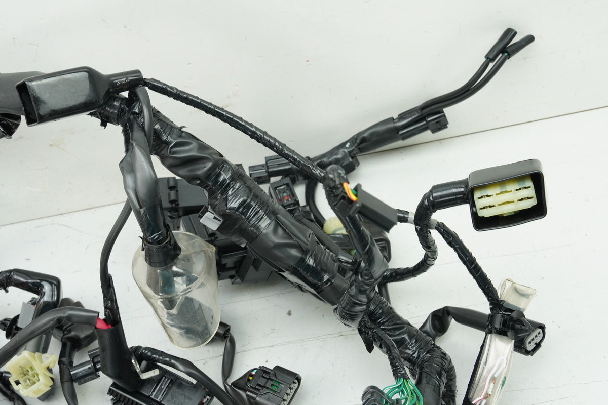 HONDA CB 125 R JC91 Wiring Harness Main Wiring Harness Wire Loom 32100-K98-E201