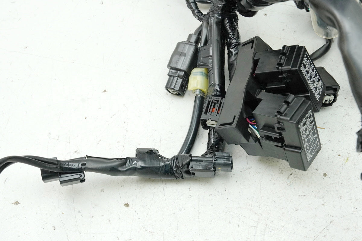 HONDA CB 125 R JC91 Wiring Harness Main Wiring Harness Wire Loom 32100-K98-E201