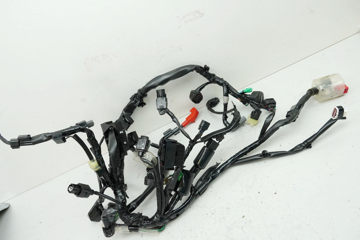 HONDA CB 125 R JC91 Wiring Harness Main Wiring Harness Wire Loom 32100-K98-E201