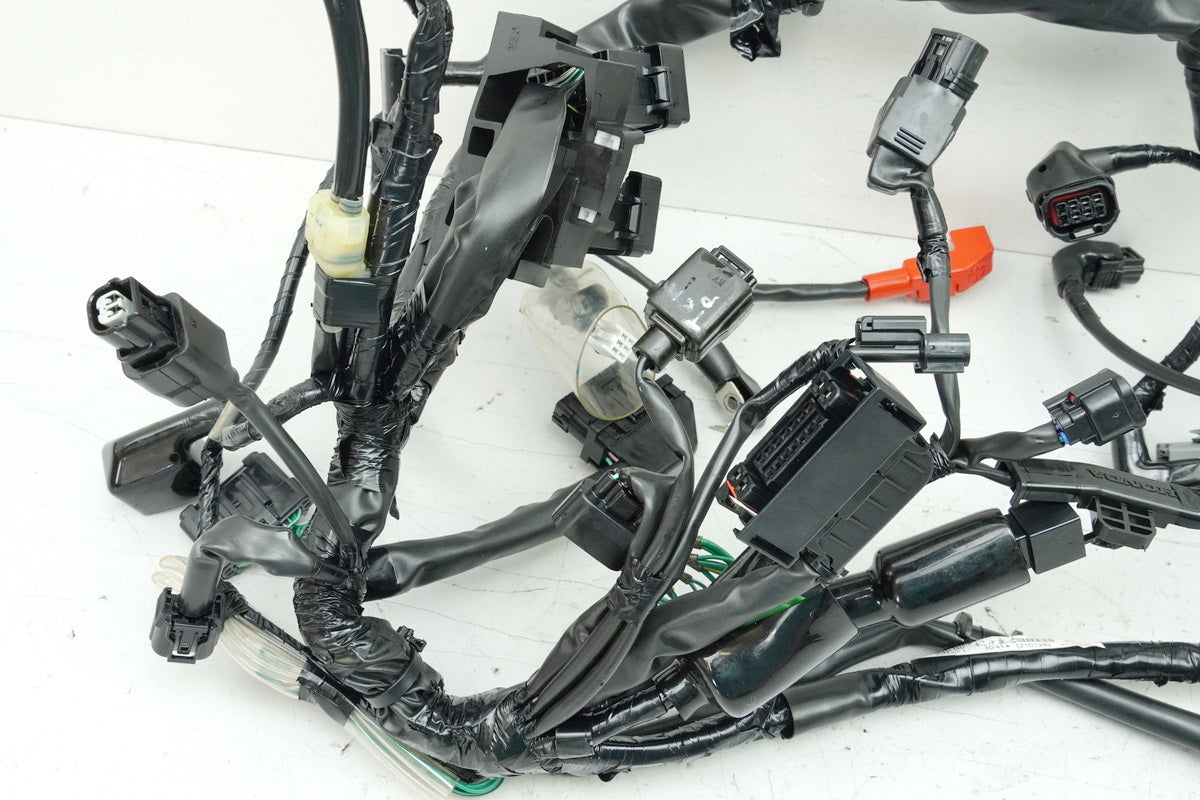 HONDA CB 125 R JC91 Wiring Harness Main Wiring Harness Wire Loom 32100-K98-E201