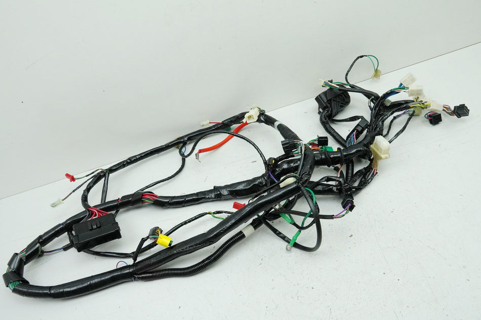 KYMCO DOWNTOWN 300 i ABS RFBV200 Cableado Mazo de Cables Principal 09-15
