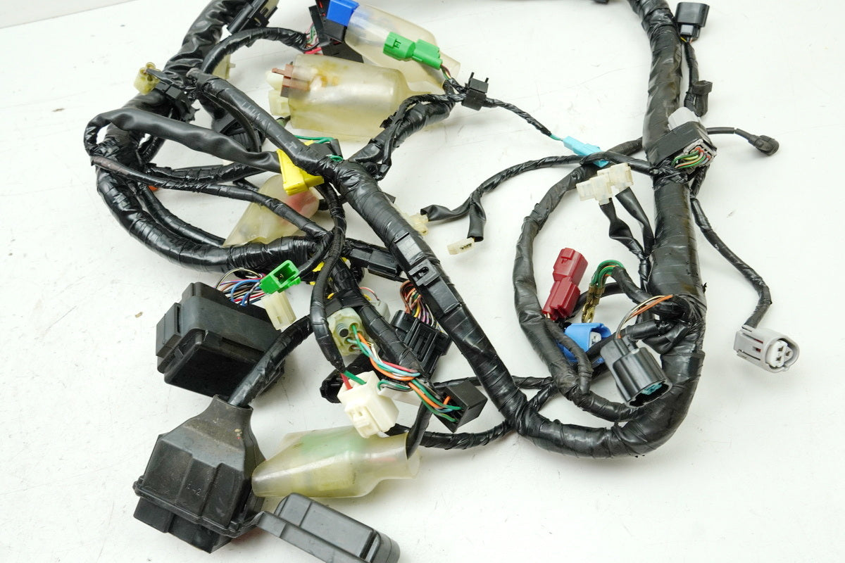 HONDA CBF 1000 ABS SC58 Kabelbaum Hauptkabelbaum Wire Harness 32100-MFA-D103