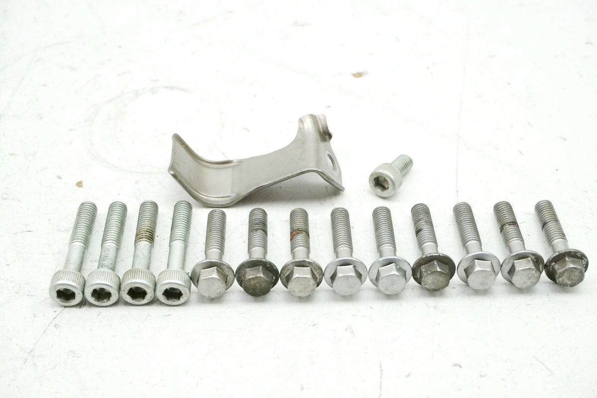 Honda CB 600 PC34 PC36 Hornet Screws Alternator Cover Stator Engine Cover