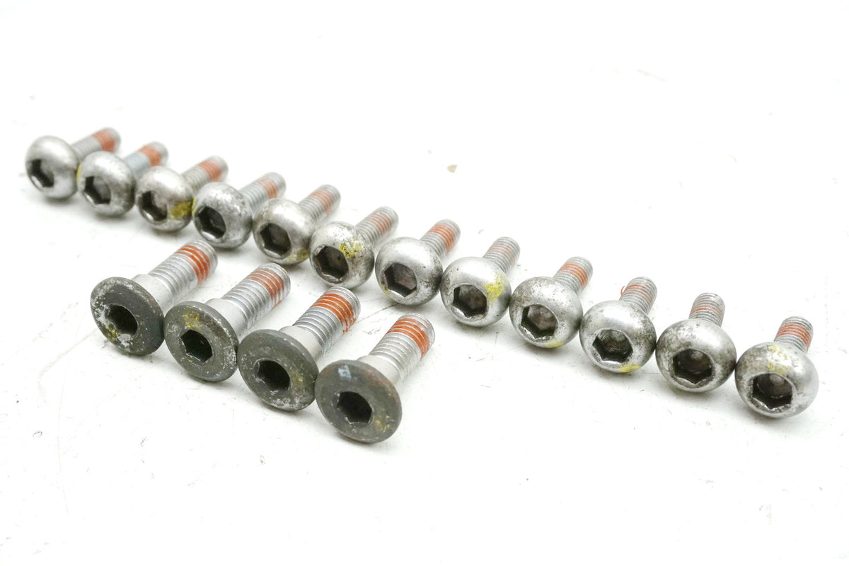 Honda CB 600 PC34 PC36 Hornet Screws Brake Discs Front & Rear