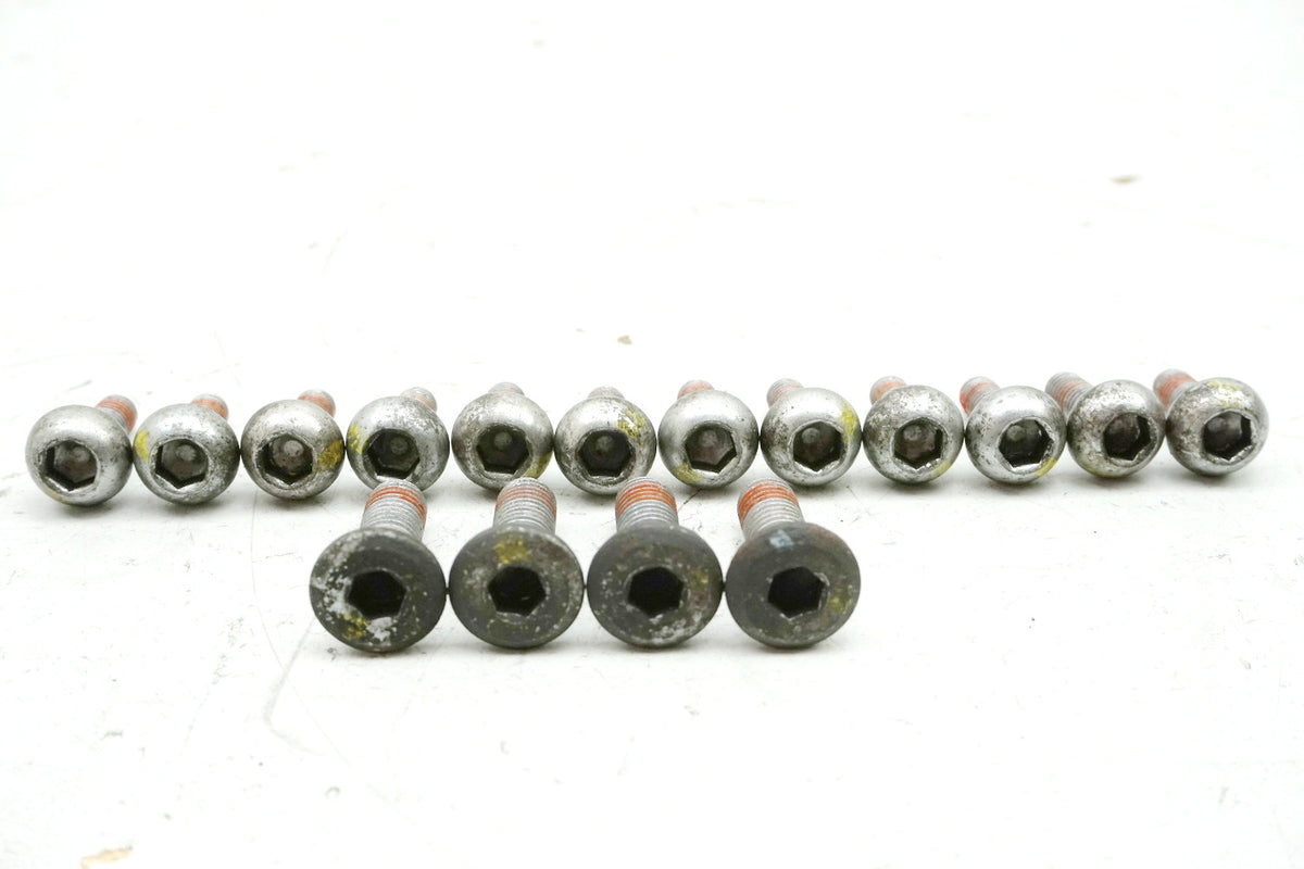 Honda CB 600 PC34 PC36 Hornet Screws Brake Discs Front & Rear