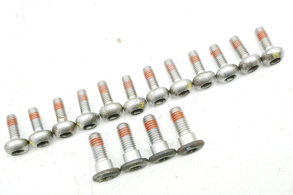 Honda CB 600 PC34 PC36 Hornet Screws Brake Discs Front & Rear