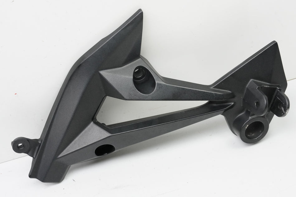 KAWASAKI Z 750 ZR750L Soporte estribera pasajero izquierda Placa de soporte estribera