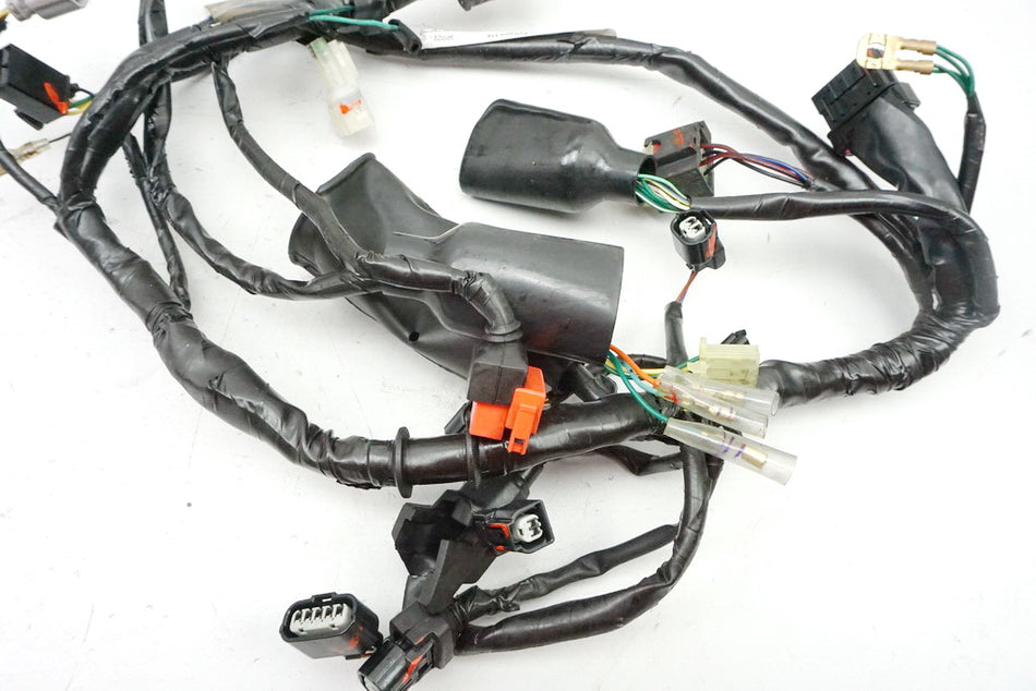 HONDA CBF 125 JC40 Kabelbaum Hauptkabelbaum Kabelstrang Wire Harness (für Motor)