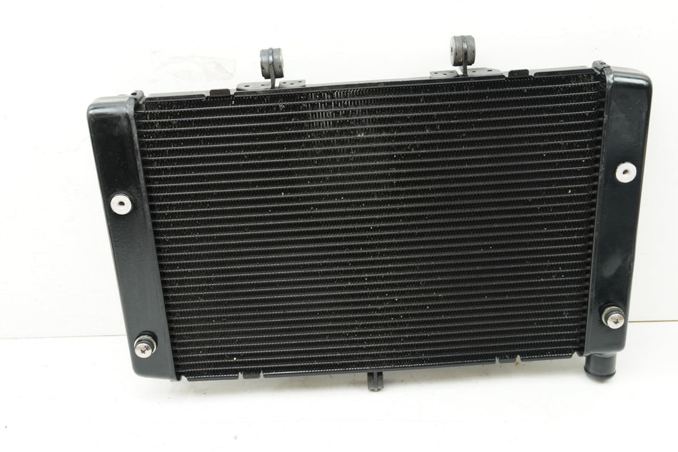 HONDA CBF 1000 FA SC64 Radiador original Enfriador de agua (para motor)