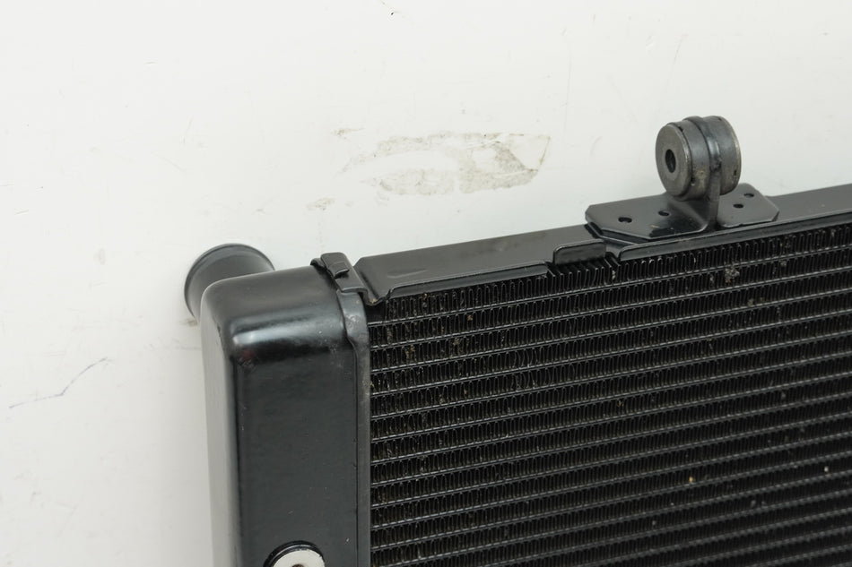 HONDA CBF 1000 FA SC64 Radiador original Enfriador de agua (para motor)