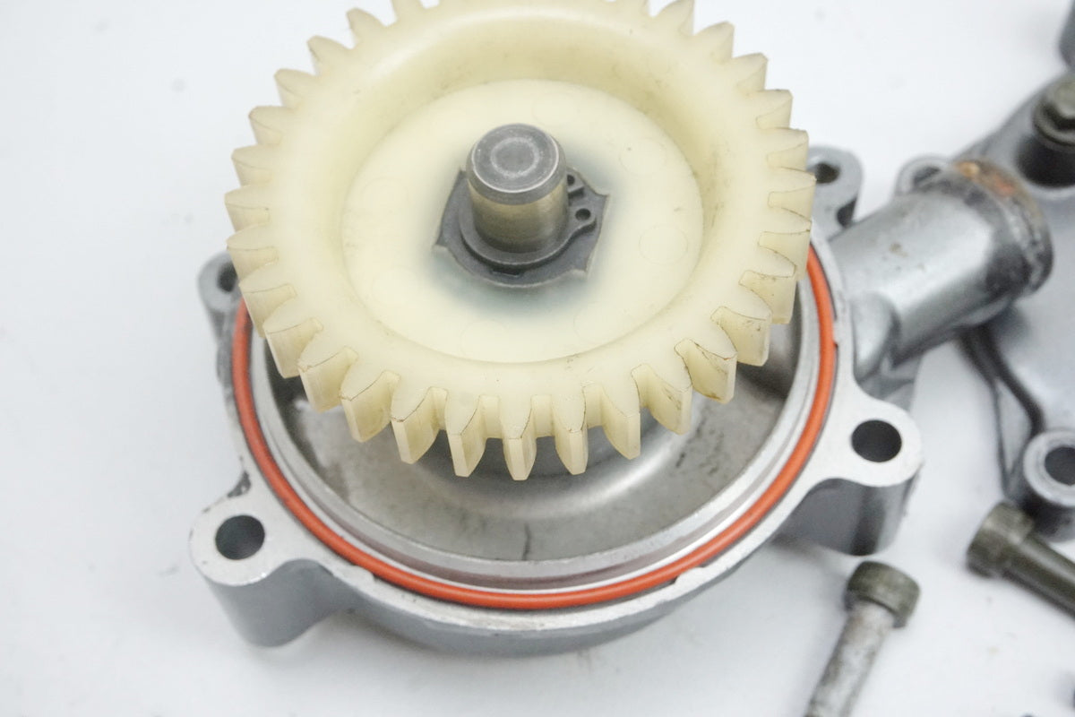 MZ / MUZ MASTIFF 660 BAGHIRA Wasserpumpe Motordeckel Cover Motor