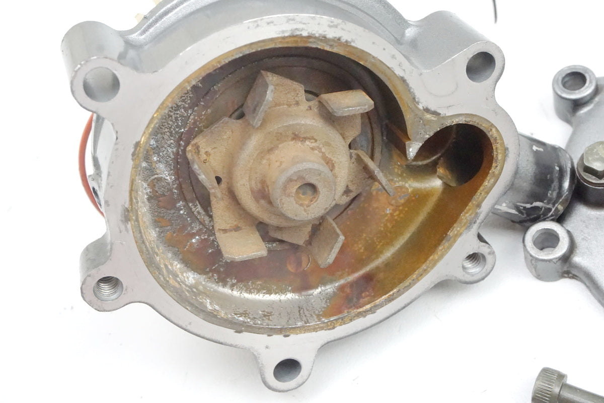 MZ / MUZ MASTIFF 660 BAGHIRA Wasserpumpe Motordeckel Cover Motor