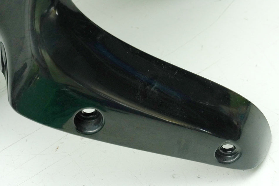 BUELL XB12 SCG XB1 S2F LIGHTNING LOW Guardabarros delantero Cubierta Protector