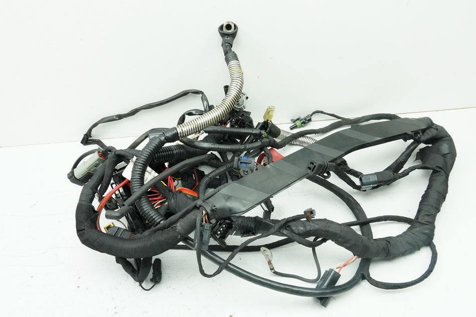 BUELL XB12 SCG XB1 S2F LIGHTNING LOW Cableado principal Mazos de cables Cables