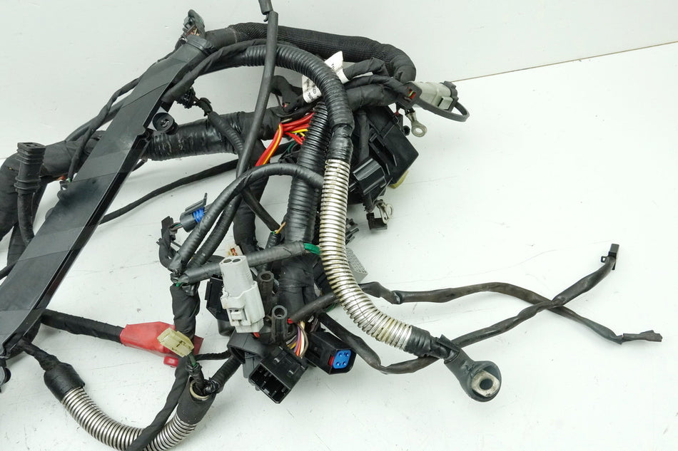 BUELL XB12 SCG XB1 S2F LIGHTNING LOW Cableado principal Mazos de cables Cables