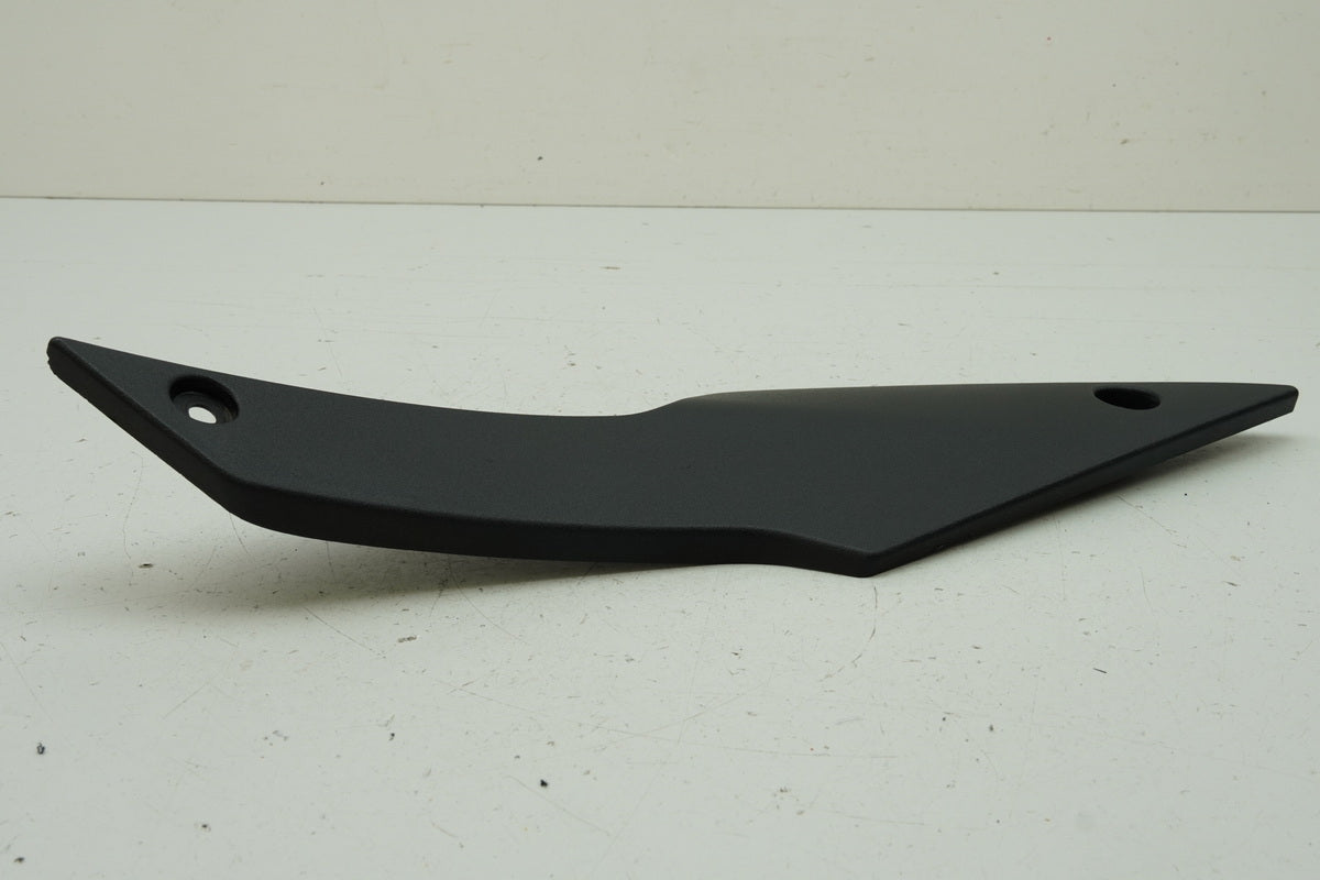 TRIUMPH SPEED TRIPLE 955 i 595 N Seitendeckel rechts Abdeckung Cover Blende