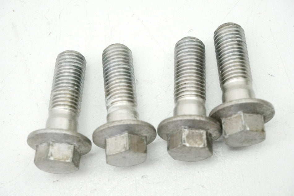 YAMAHA XV 750 4PW VIRAGO Schrauben Bremssattel vorn Screws