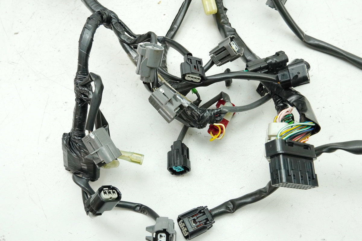 HONDA CBF 1000 FA SC64 Engine Wiring Harness Electronics Wiring Loom 32103-MGJ-D00