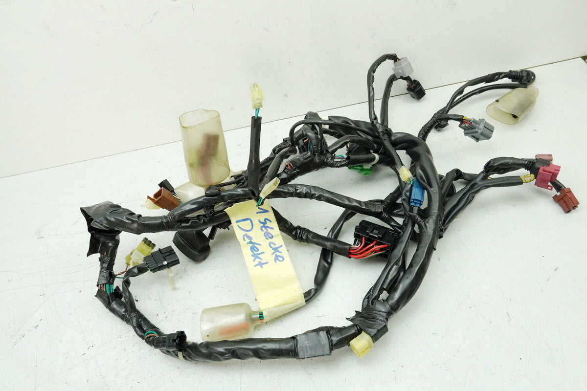 HONDA CBF 1000 FA SC64 Kabelbaum Hauptkabelbaum Kabelstrang 32100-MGJ-D00