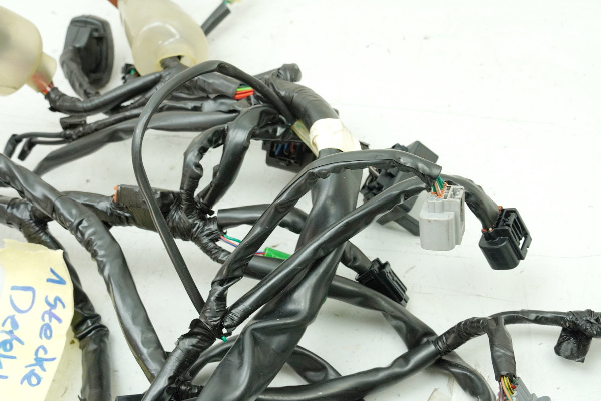 HONDA CBF 1000 FA SC64 Kabelbaum Hauptkabelbaum Kabelstrang 32100-MGJ-D00