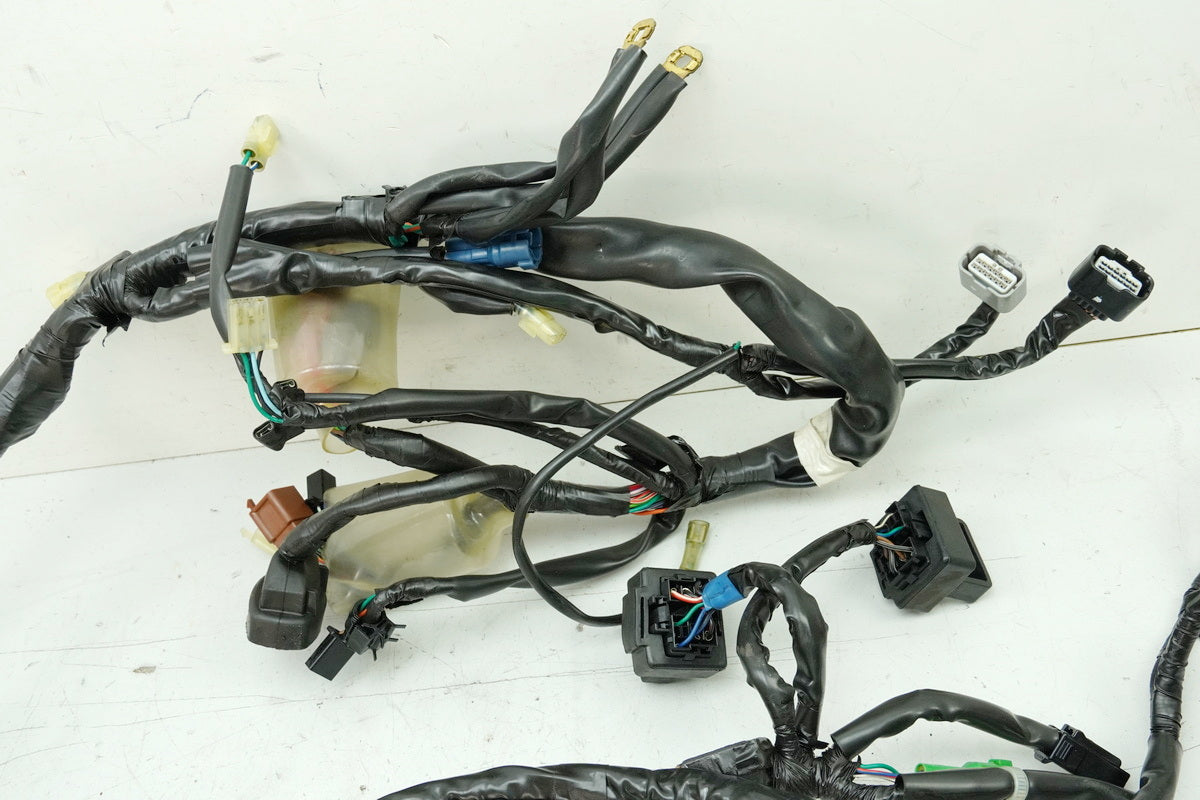 HONDA CBF 1000 FA SC64 Kabelbaum Hauptkabelbaum Kabelstrang 32100-MGJ-D00
