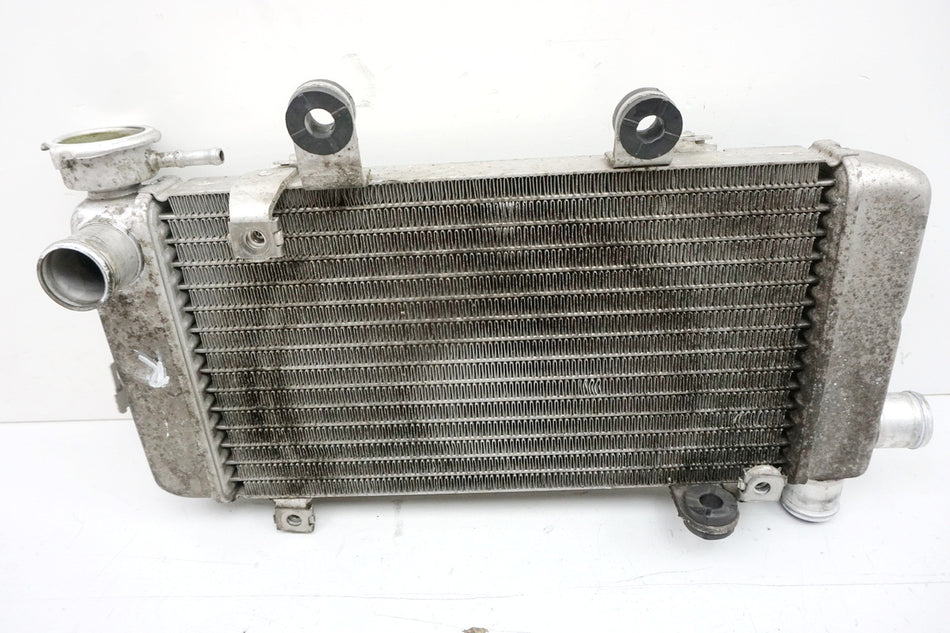 HONDA VTR 1000 SC36 FIRESTORM Radiador derecho Refrigerador de agua