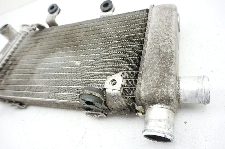 HONDA VTR 1000 SC36 FIRESTORM Radiador derecho Refrigerador de agua