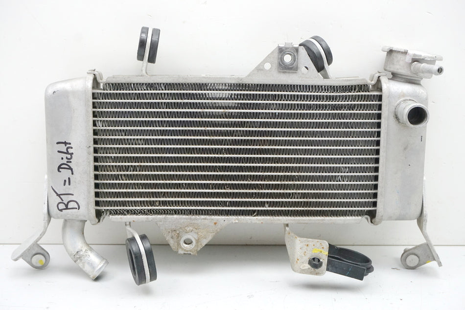 YAMAHA MT 125 A RE39 Kühler Wasserkühler Water Cooler