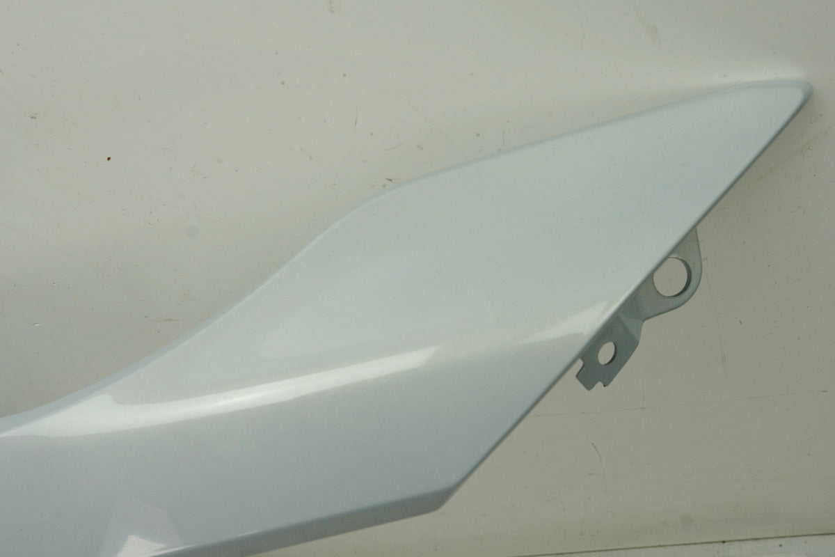 BMW S 1000 RR K67 - Seitenverkleidung links Abdeckung Seitenteil Cover silber