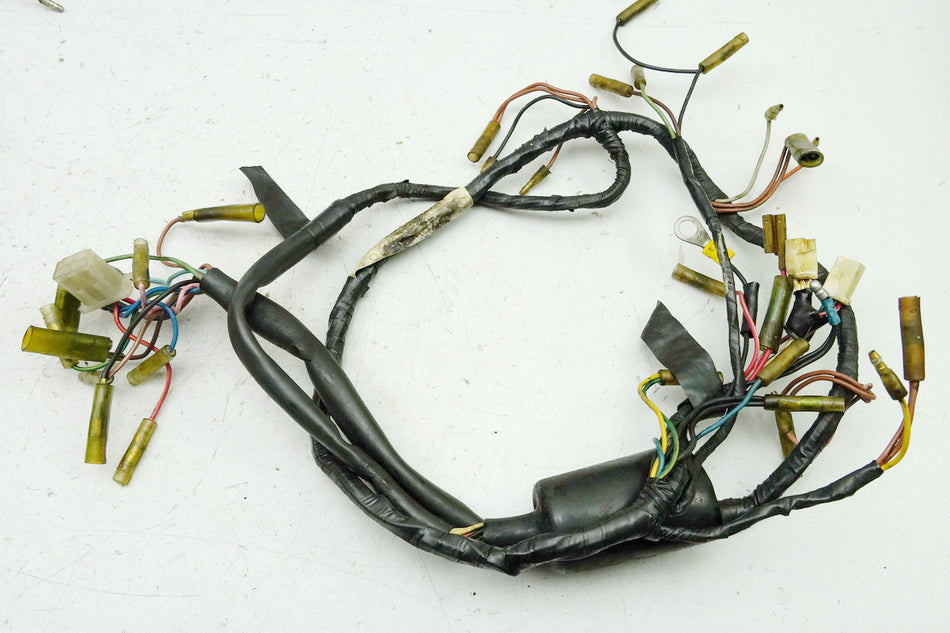 YAMAHA DS7 250 Cableado Mazo de cables Cableado principal (para motor)