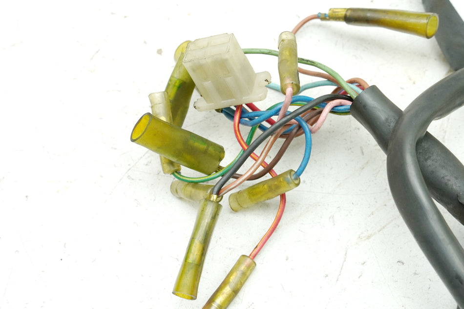 YAMAHA DS7 250 Cableado Mazo de cables Cableado principal (para motor)