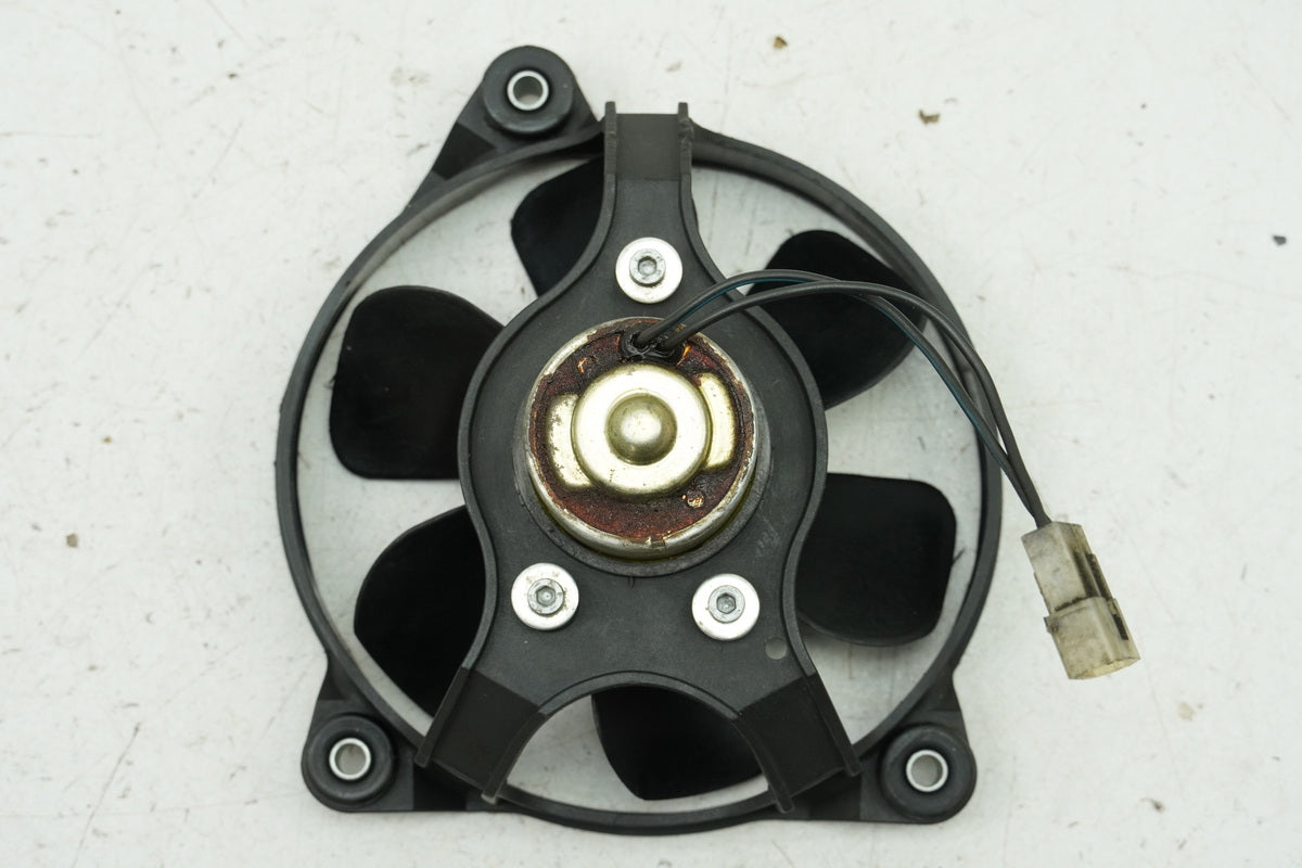 Aprilia Pegaso 650 GA (MX) Lüfterrad Kühler Motor Radiator Kühlerlüfter