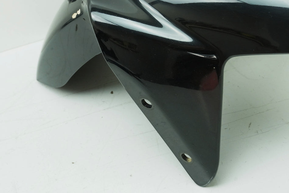TRIUMPH SPEED TRIPLE 955 i 595 N Kotflügel vorn Radlauf Fender Schutzblech