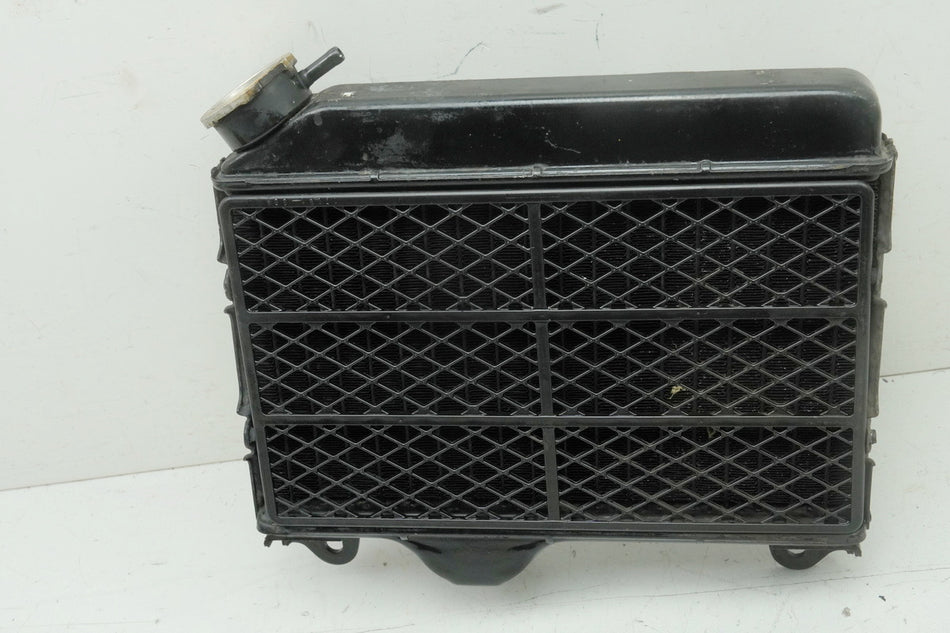 SUZUKI RG 125 NF12B GAMMA Radiador, enfriador de agua original