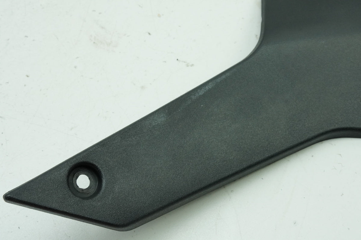 TRIUMPH SPEED TRIPLE 955 i 595 N Seitendeckel rechts Abdeckung Cover Blende