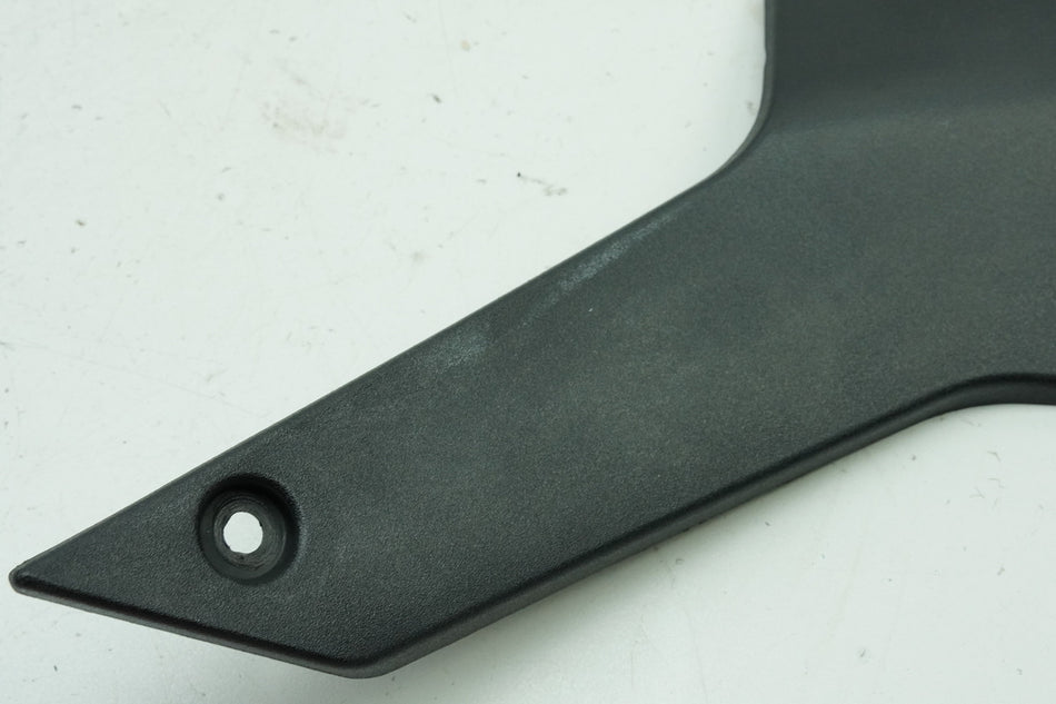 TRIUMPH SPEED TRIPLE 955 i 595 N Seitendeckel rechts Abdeckung Cover Blende