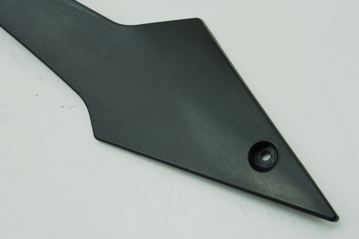 TRIUMPH SPEED TRIPLE 955 i 595 N Seitendeckel rechts Abdeckung Cover Blende