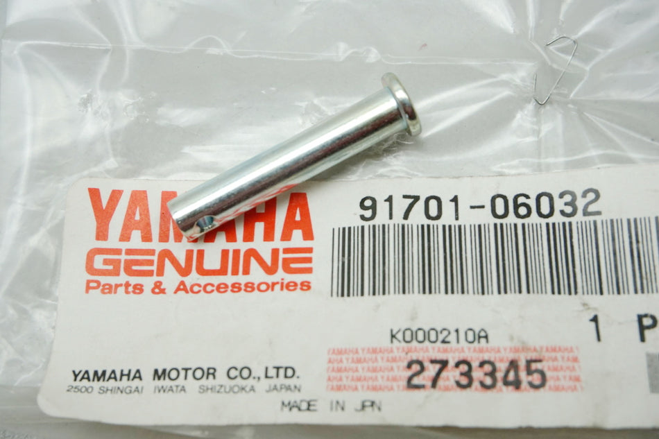 Yamaha Screw Pin Holder Footpeg Fixing original 91701-06032 DT TW - NEW